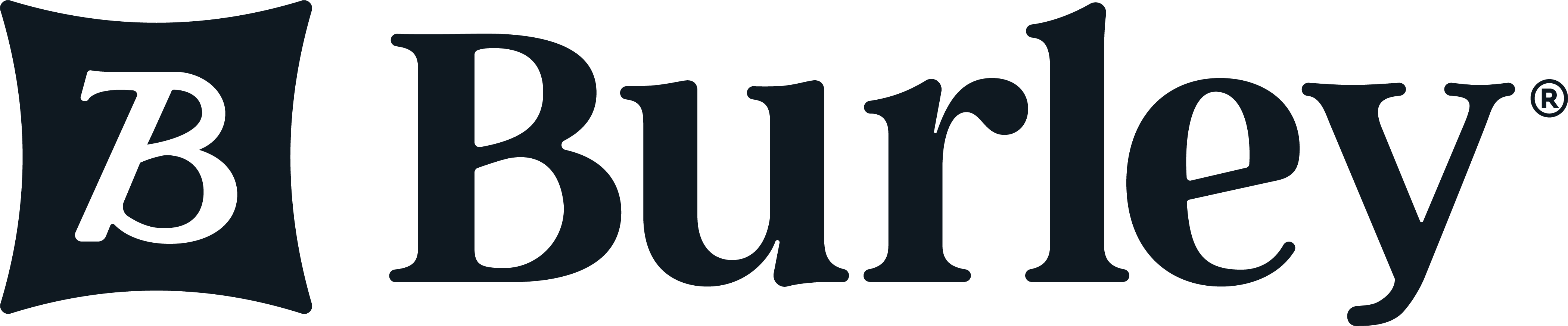 Burley